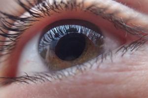 SightFirst